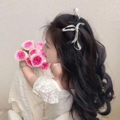 少年苏乞儿国语